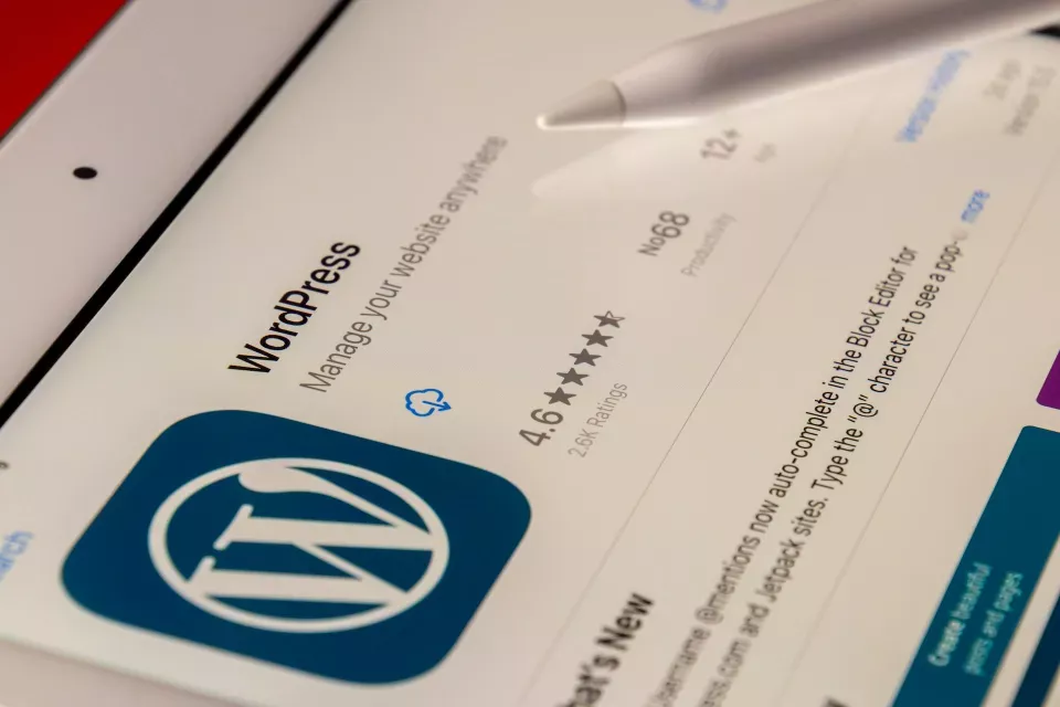 temas de wordpress