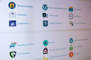 Consultas Wordpress